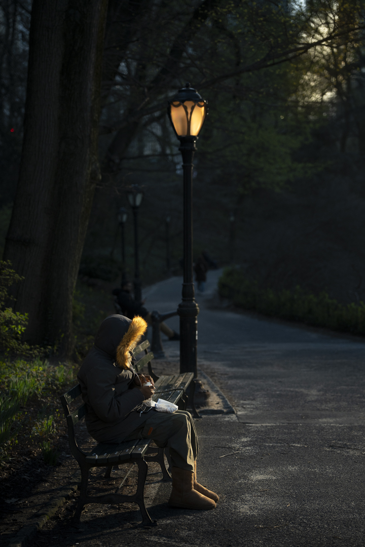 Women sitting alone in dark. Central Park